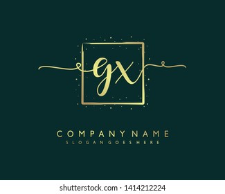 initials letter GX handwriting logo vector template