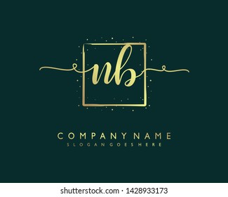 initials letter NB handwriting logo vector template