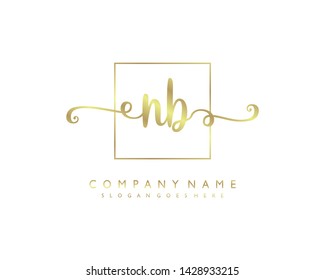 initials letter NB handwriting logo vector template