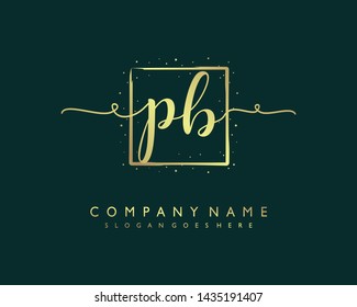 initials letter PB handwriting logo vector template