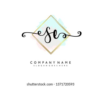 initials letter SE handwriting logo vector template