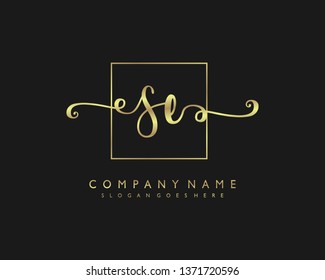 initials letter SE handwriting logo vector template