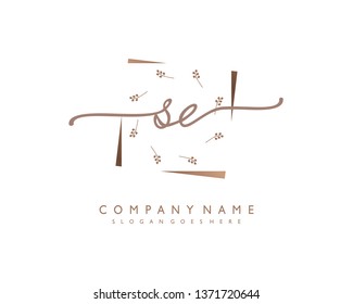 initials letter SE handwriting logo vector template