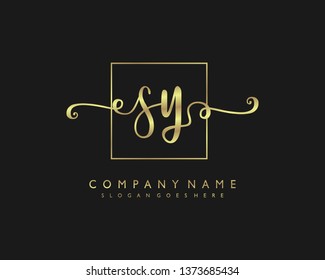 initials letter SY handwriting logo vector template