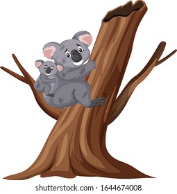 Injured koalas climbing tree on white background illustration