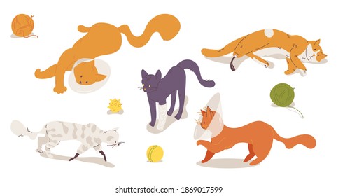 Injured and sufferer cats with prosthesis and protective cone collars isolated on white. Cartoon kitten characters playing, laying down, good for vet clinic and veterinarian 