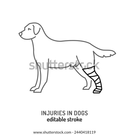 Injuries in dogs. Leg trauma icon, pictogram, symbol. Limb affliction. Paw trauma. Painful disease. Veterinarian concept. Editable isolated vector illustration in outline style on a white background
