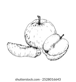 Ink apple fruit, half piece and slice hand drawn graphics. Vector healthy food sketch, engraving vegetarian eating composition for seasonal cafe menu, market, shop design. Kitchen and home decor