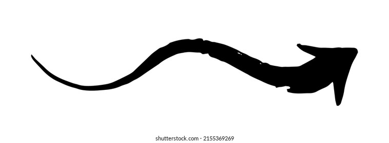 Ink arrow curled symbol hand painted with brush in swoosh whimsical style, isolated on white background. Vector illustration