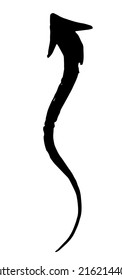 Ink arrow curled symbol hand painted with brush in swoosh whimsical style, isolated on white background. Vector illustration