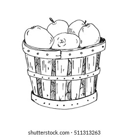 Ink basket of apples isolated on white background. Hand drawn apples in wood basket illustration. Coloring basket of apples design.