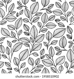 Patrón monocromo en blanco y negro de tinta con plantas