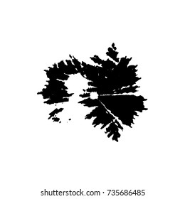 ink  blob or drop isolated on white background