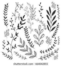 Ink branches. Vector illustration.