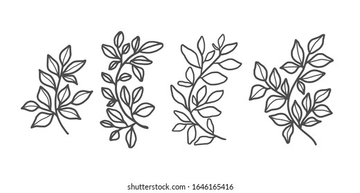 Ink branches. Vector set of floral hand drawn elements in elegant and minimal style. Isolated objects, flowers and branches with leaves. For badges, labels, logotypes and branding business identity.