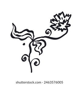 Pincel de tinta abstracto bosquejo de flores con contorno aislado en blanco. Dibujo botánico artístico de arte lineal. Silueta negra de garabato minimalista floral