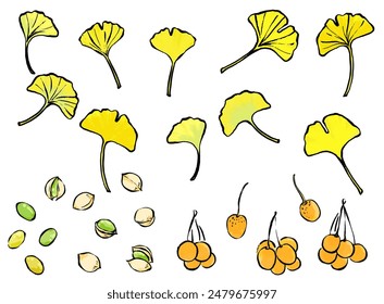 Ink and Brush Stroke Ginkgo Leaves and Ginkgo Nuts Line Drawing Illustration Set
