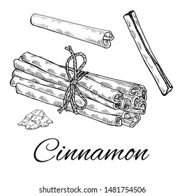 Ink Cinnamon hand drawn set. Including  Tied bunch of Cinnamon sticks, stick and powder. Retro botanical line art. Medical herb and spice. Herbal vector illustration isolated on white background