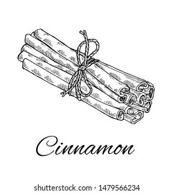 Ink Cinnamon hand drawn sketch. Vintage Tied bunch of Cinnamon sticks. Retro botanical line art. Medical herb and spice. Aromatherapy ingredient Herbal vector illustration isolated on white background