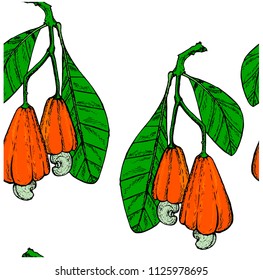 Ink colored Cashew tree branch seamless pattern with greed leaves, red fruits, nuts. Coloring design element for web, for print stock vector illustration
