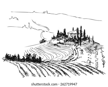 Ink contour drawn of Tuscany villa with fields, road and vineyard