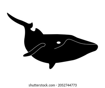 Ink drawing of an Atlantic humpback whale. Marine mammals are found in nature and in water parks. Silhouette of an aquatic creature for travel posters and advertising. Isolated vector illustrations.