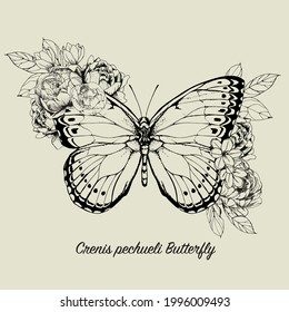 Ink Drawing of Crenis pechueli Butterfly with Peonies decorative elements for birthday, greeting, Thank you, wedding, invitation, fashion, Beauty, Tattoo use. 