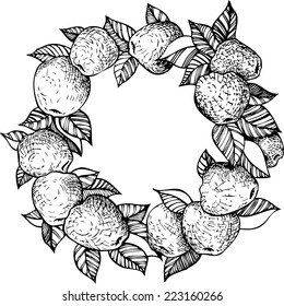 ink drawing decorative wreath with  apples and leaves, hand drawn vector illustration