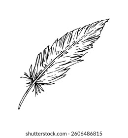 Ink drawing of a feather in monochrome style. Stylized hand drawn sketch suitable for textile prints, rural stationery, boho branding, wedding themes, Easter packaging, and farm-themed projects.