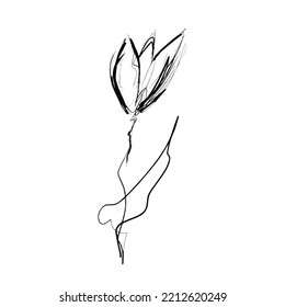 Ink drawing of a flower. Isolated on white background.
