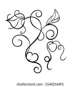 Ink drawing of flowers for logo, icon with swirls.