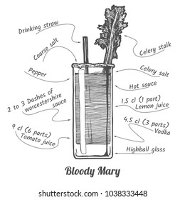 ink drawing illustration of cocktail Bloody mary and its ingredients in vintage hand drawn style. isolated on white.