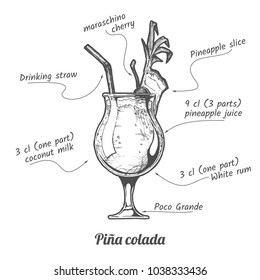 ink drawing illustration of cocktail pina colada and its ingredients in vintage hand drawn style. isolated on white.