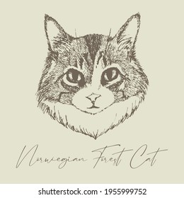 Dibujo de tinta del elemento de gato forestal noruego para decoración, vacaciones, celebración, boda, cumpleaños, saludos, Gracias, invitación, moda, belleza, tatuaje, usar. 