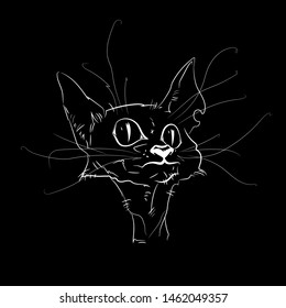 Ink drawing on black background. funny head of old cat with a mustache. for print on t-shirt poster or tattoo