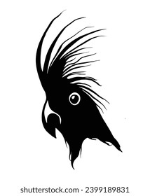 Dibujo de tinta de la cabeza de un loro. Un pájaro negro lindo con un gran tajo de plumas dibujado a mano sobre un fondo blanco. Cabeza aislada de un pájaro tropical en forma de boceto para imprimir. Ilustración vectorial.