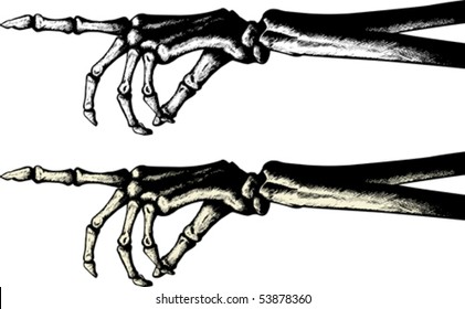 Ink Drawing Of A Pointing Skeleton Hand