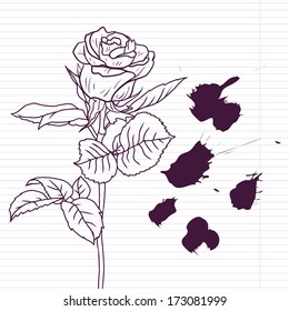 Ink drawing rose at lined paper, vector illustration