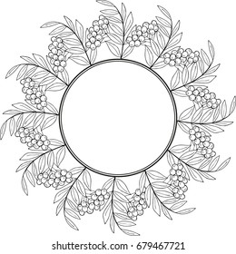 Ink drawing of rowan or rowanberry. Berries and rowan berries with leaves, hand drawn in rustic design, classic drawing element of wild ash, pit or rowan-tree. Border, round frame, black and white.