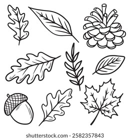 Ink drawing set of forest leaves design. Maple, oak, birch, beech, hornbeam, ash tree leaves. Hand drawn vector sketch illustration in doodle engraved vintage line art style. Autumn fall, foliage