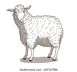 Ink drawing of a sheep. Outline and shading. Vector illustration