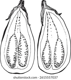 Ink drawing of sliced eggplant in vintage style. Botanical vegetable illustration for food design, recipes, or kitchen decor use