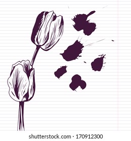 Ink drawing tulips at lined paper, vector illustration