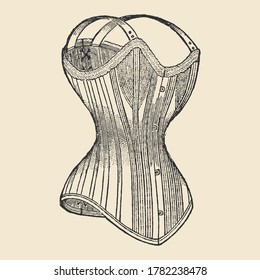 Ink Drawing Of A Victorian Corset Vector