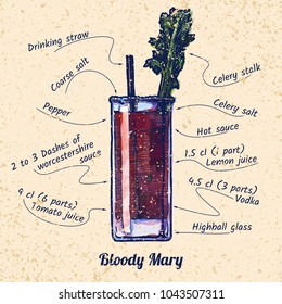 ink drawing and watercolor vector illustration of cocktail Bloody mary and its ingredients. On old paper background.