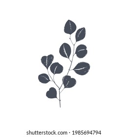 Ink drawn botanical illustration, 
hand drawn floral element 