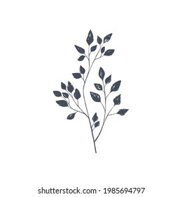 Ink drawn botanical illustration, 
hand drawn floral element 