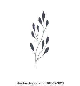 Ink drawn botanical illustration, 
hand drawn floral element 