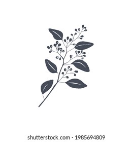 Ink drawn botanical illustration, 
hand drawn floral element 