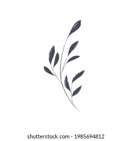 Ink drawn botanical illustration, 
hand drawn floral element 